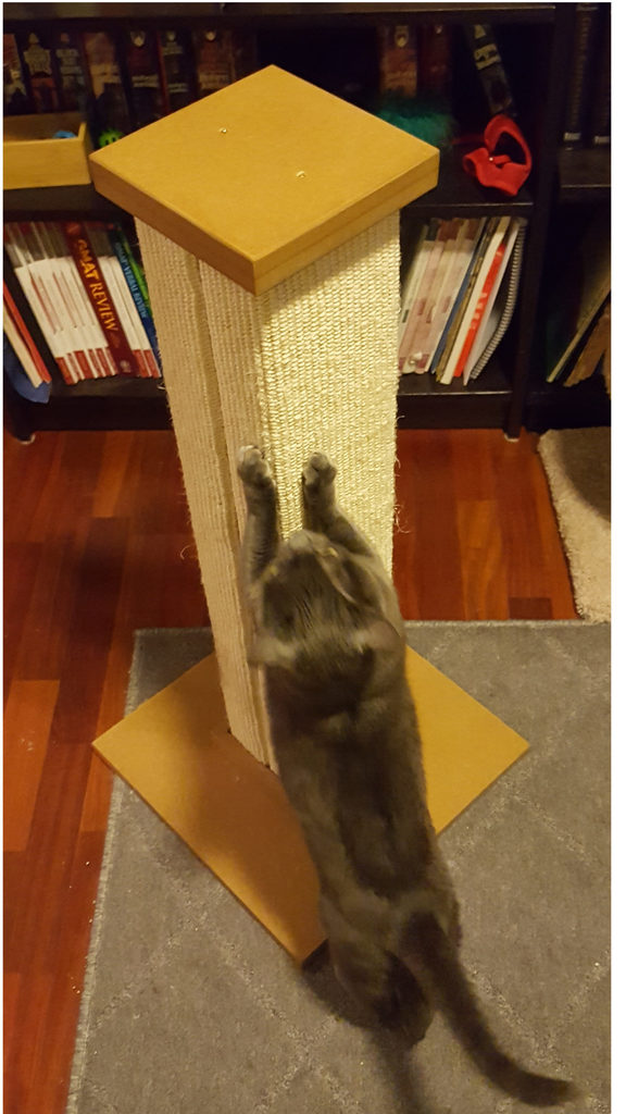 Smartcat Ultimate Scratching Post Review