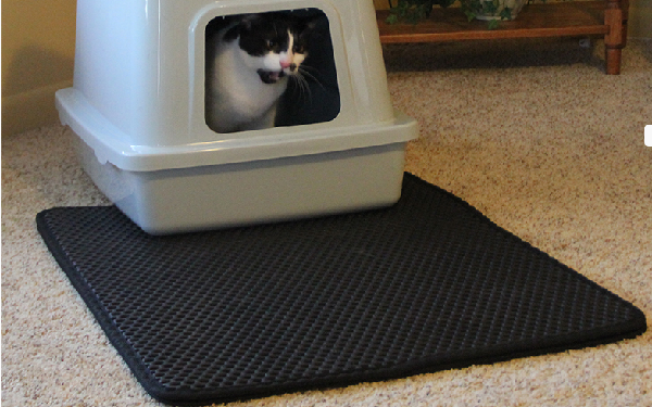 Cat litter mat clearance reviews