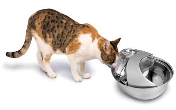 Pioneer Pet Raindrop Stainless Steel Pet Drinking Fountain Review