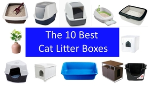 12 different litter boxes and a statement saying the 10 best cat litter boxes