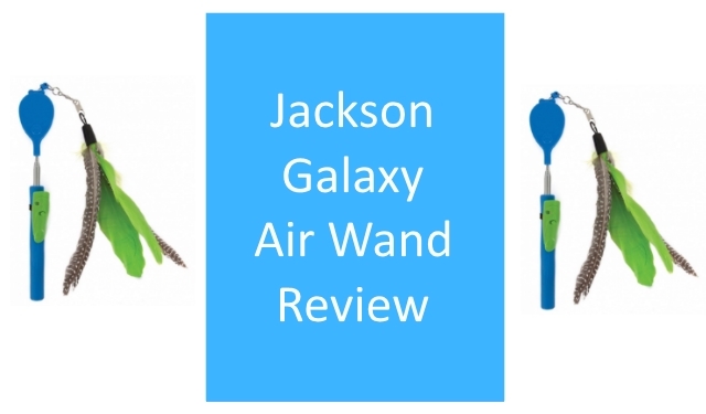 the jackson galaxy air wand on the left and right of a box saying product review