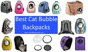 multiple cat bubble backpacks and pieces of bags