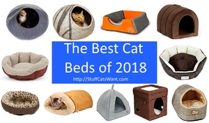 multiple cat beds and a blue banner saying best cat beds of 2018