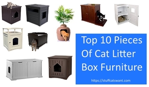 10 pieces of litter box furniture and a note saying the top 10 pieces of litter box furniture