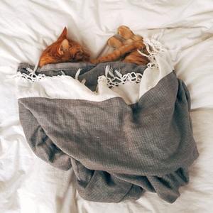 a cat under a blanket