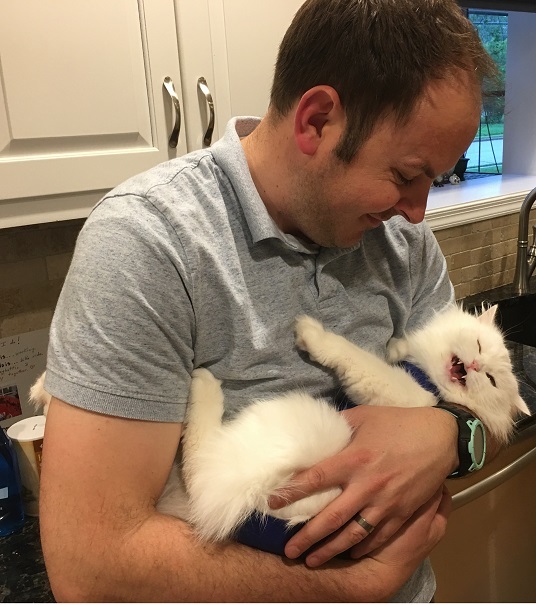 a white Persian cat being held like a baby