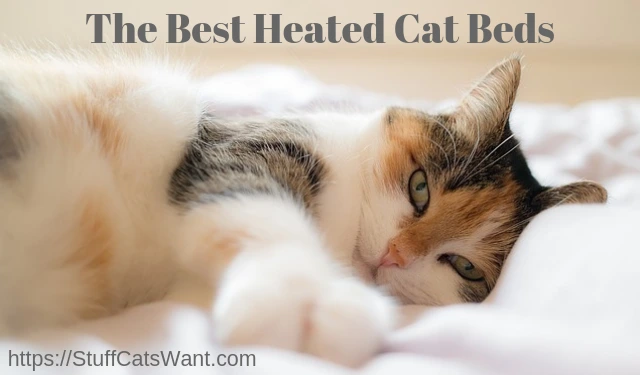 a cat sleeping with text that says the best heated cat beds