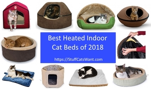 10 heated cat beds and a block of text saying best heated cat beds of 2018