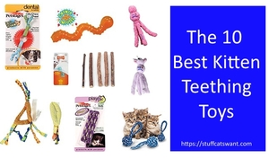 The best kitten teething toys