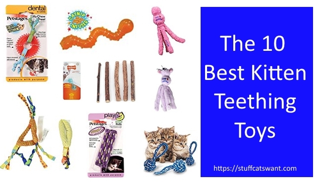 The 10 Best Kitten Teething Toys of 2018