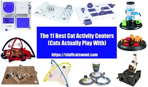 numerous cat activity centers in a circle around the title