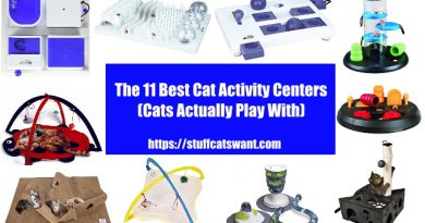 The 11 Best Cat Activity Centers (cats will actually use) 2018 numerous cat activity centers in a circle around the title