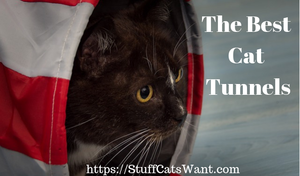 a cat in a tunnel with the text the best cat tunnels
