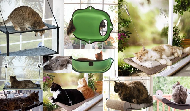 multiple cat window beds in a collage