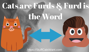 cats are furds and furd is the word