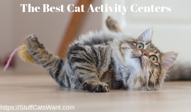 a cat playing with text that says the best cat activity centers