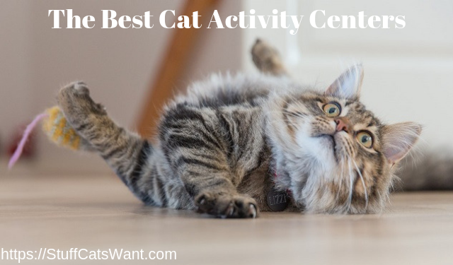 https://stuffcatswant.com/wp-content/uploads/2018/06/The-Best-Cat-Activity-Centers.png