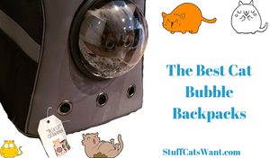 a cat in a bubble backpack and text that says the best cat bubble backpacks