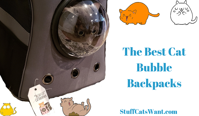 Best cat clearance bubble backpack