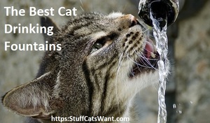 a cat drinking from flowing water