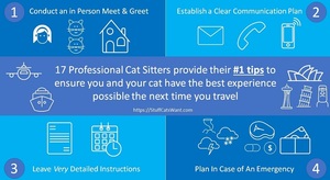 4 of the top tips from professional cat sitters