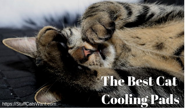 best cat cooling mat