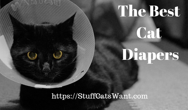a cat in a cone with text that says the best cat diapers