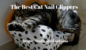 a cat on a couch showing his nails with text that says the best cat nail clippers