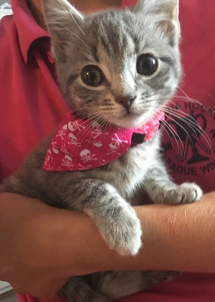 Rory with a bandana on