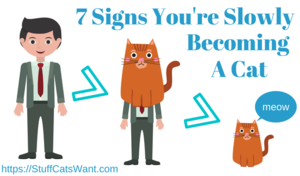 Seven signs you're slowly becoming a cat
