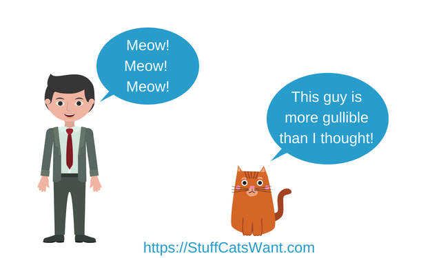 a person meowing at their cat