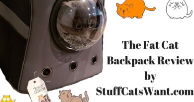 The Fat Cat Backpack Review The Fat Cat Backpack Review