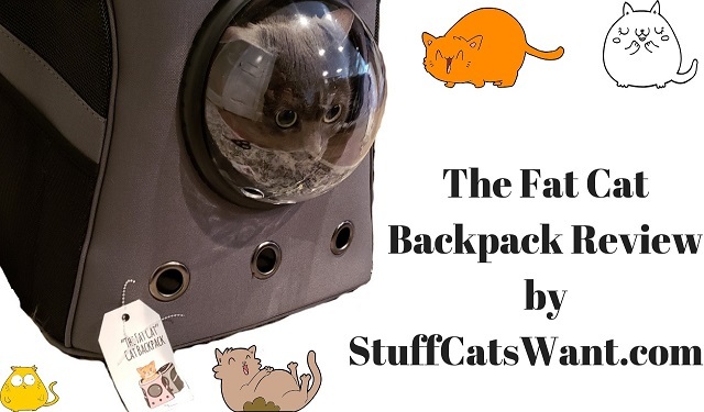 The Fat Cat Backpack Review