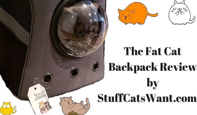 The Fat Cat Cat Backpack - for Larger Cats