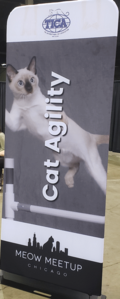 the cat agility course banner