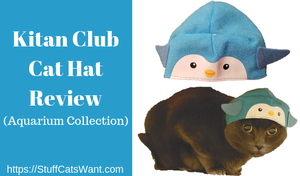 The Kitan Club Cat Hat on a grey cat