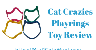 Cat Crazies Playrings Toy Review cat crazies play rings review