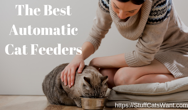 Best automatic store cat feeder 2018