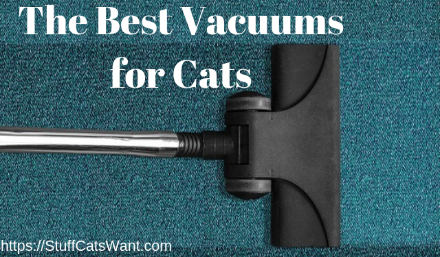 a vacuum with text that says the best vacuums for cats