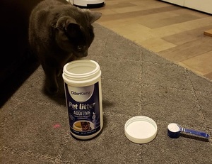 my cat beast sniffing the odorklenz cat litter additive