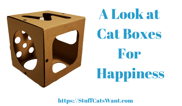 a cardboard box made for cats