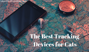 A map, a compass and a note that says the best tracking devices for cats