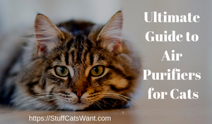 a picture of a very fluffy cat that says the ultimate guide to air purifiers for cats