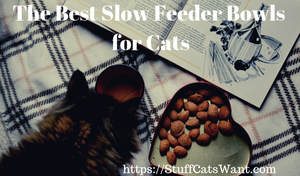 a cat sniffing coffee and text saying the best slow feeder cat bowls for cats