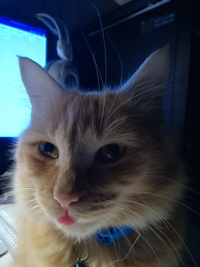 Kali sticking her tongue out