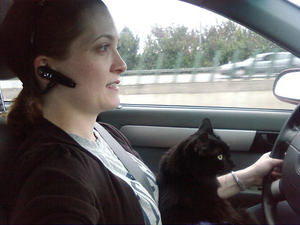 Audrey helping drive the car