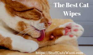 a cat licking itself and text that says the best cat wipes