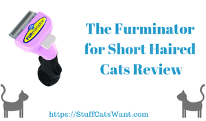 The furminator for cats with short hair review