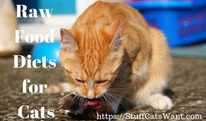 A cat eating a mouse with text that says raw food diets for cats
