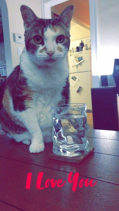 Tidbit and her water glass